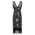 Svart Och Silver Gatsby Spirit Dress